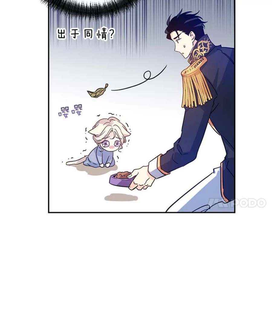 让我们转变剧情风格33.遇到伯兰茨