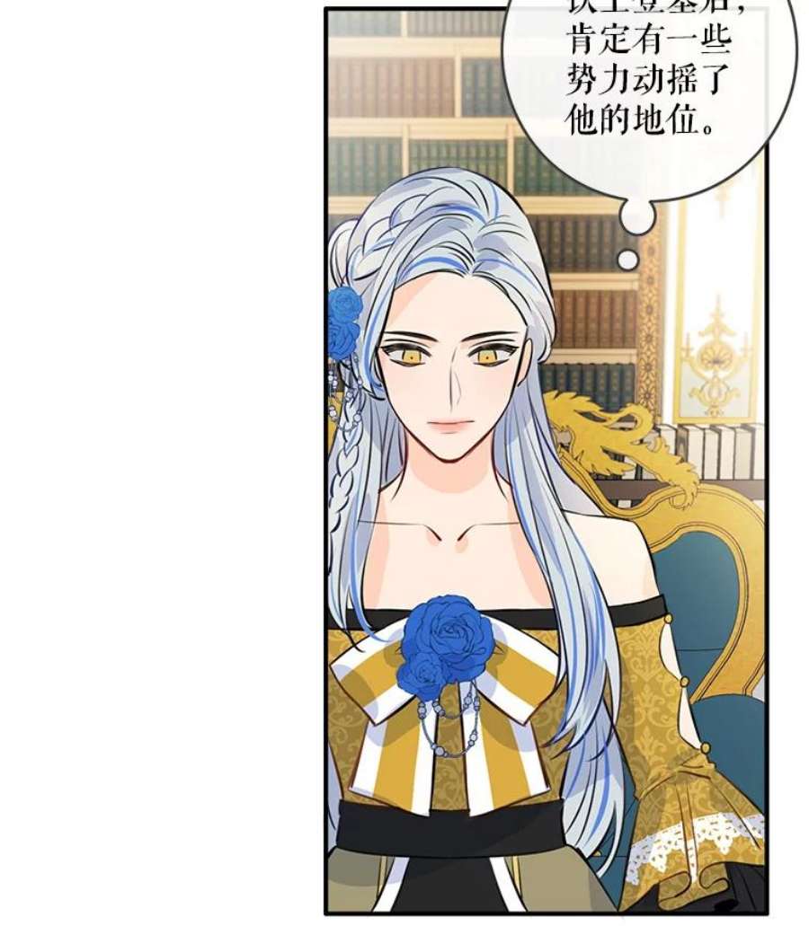 女皇的心愿31.银王的辅佐官