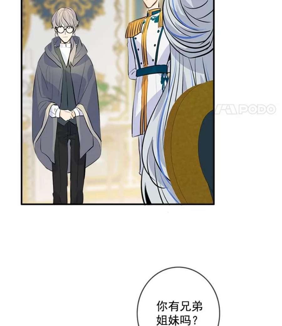 女皇的心愿31.银王的辅佐官