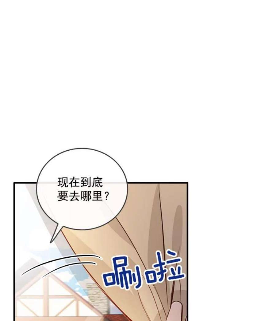 女皇的心愿31.银王的辅佐官