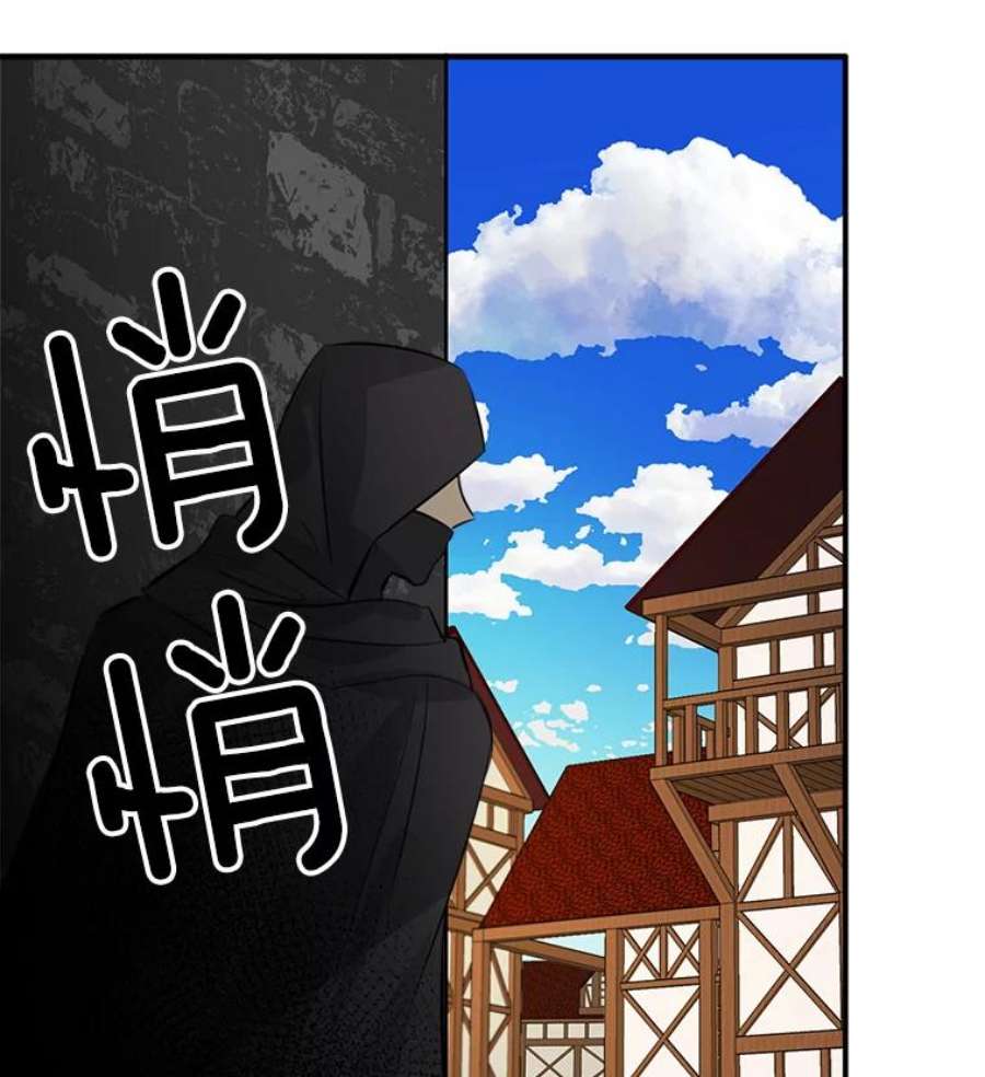 女皇的心愿31.银王的辅佐官