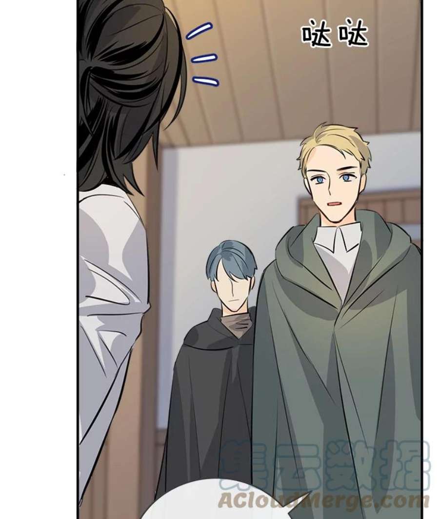 女皇的心愿31.银王的辅佐官