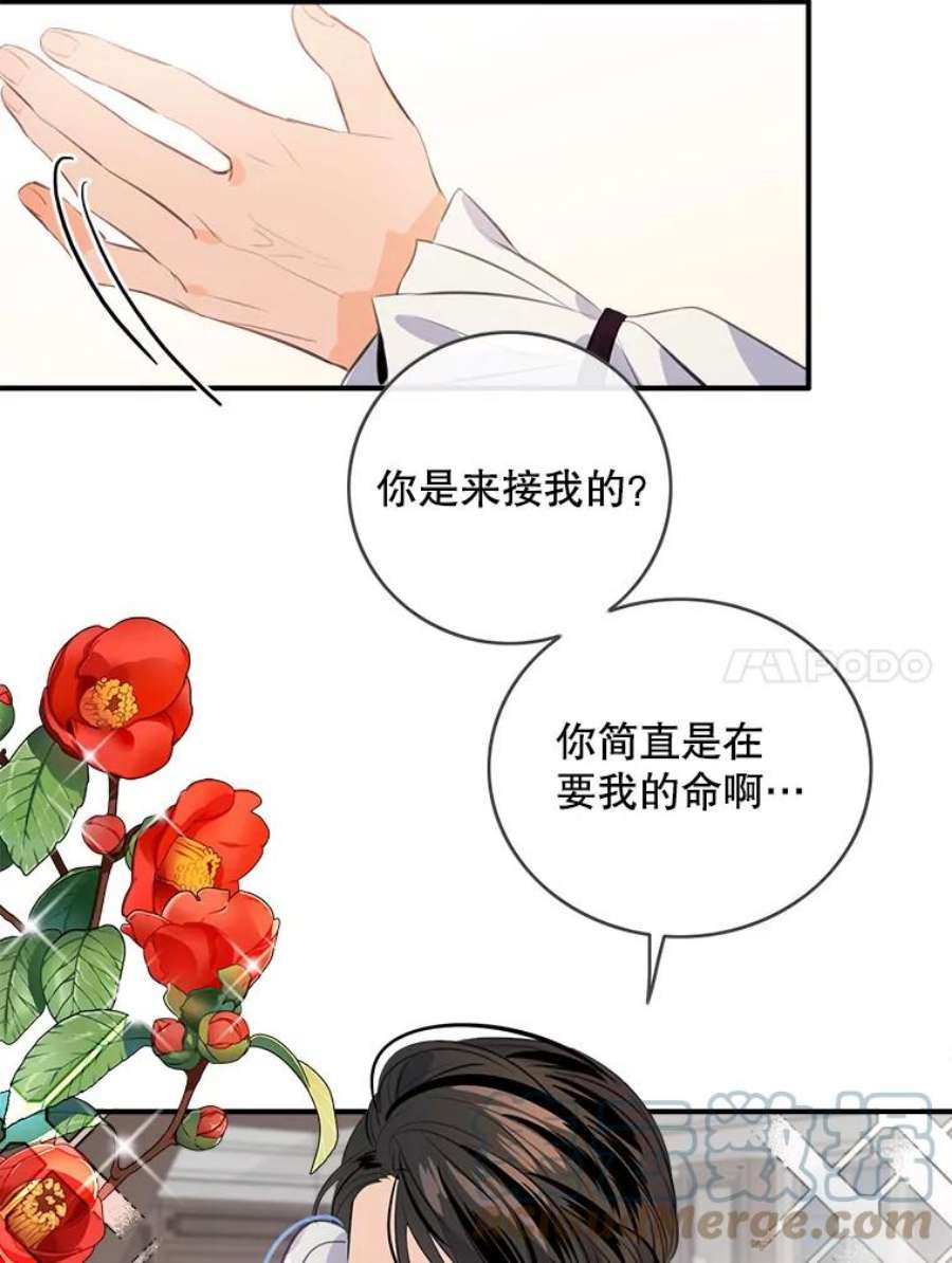 女皇的心愿73.迎接库恩