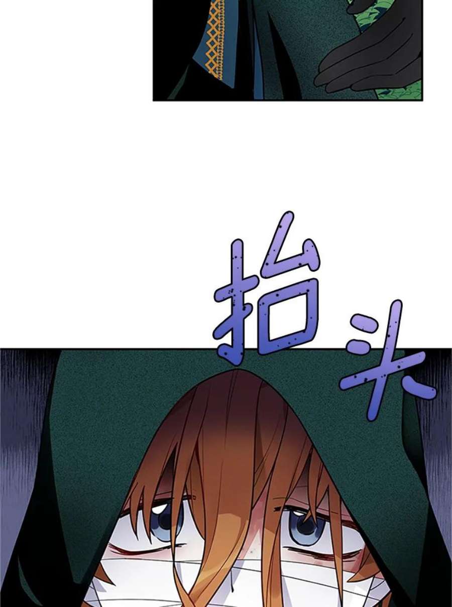 虚名的公爵之妻2.惨死重生