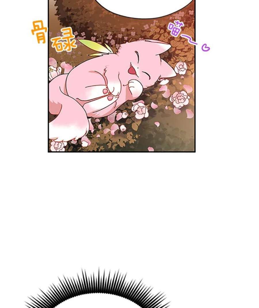 虚名的公爵之妻9.契约婚姻