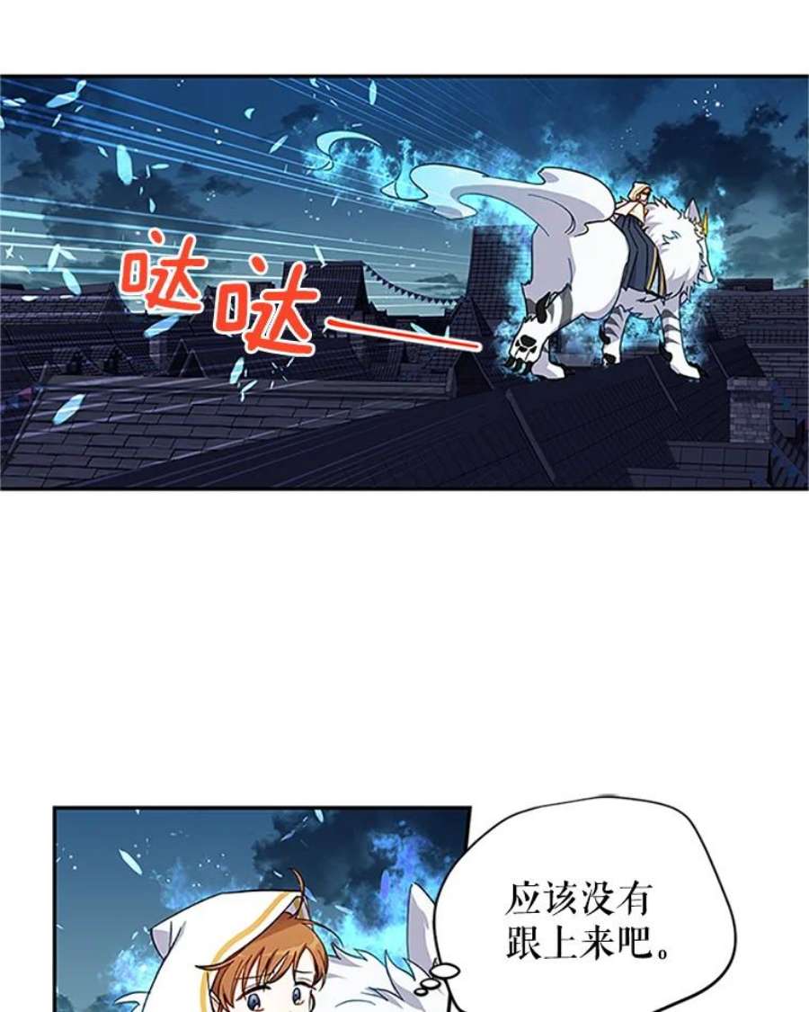 虚名的公爵之妻10.惊险一刻