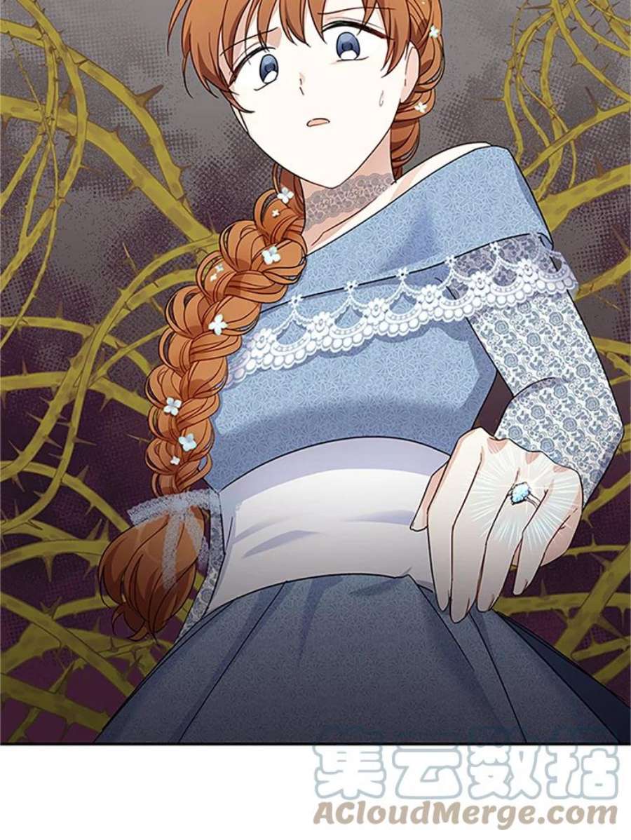 虚名的公爵之妻11.守护