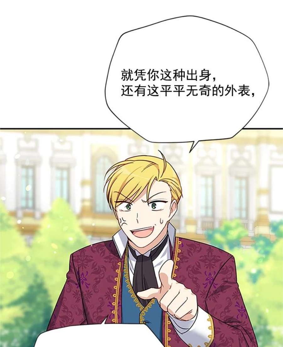 虚名的公爵之妻12.请求赐婚