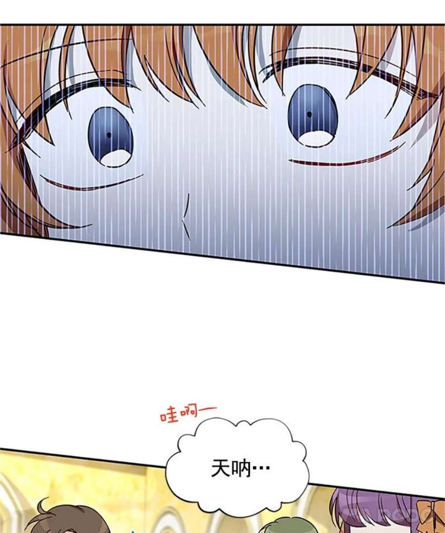 虚名的公爵之妻12.请求赐婚