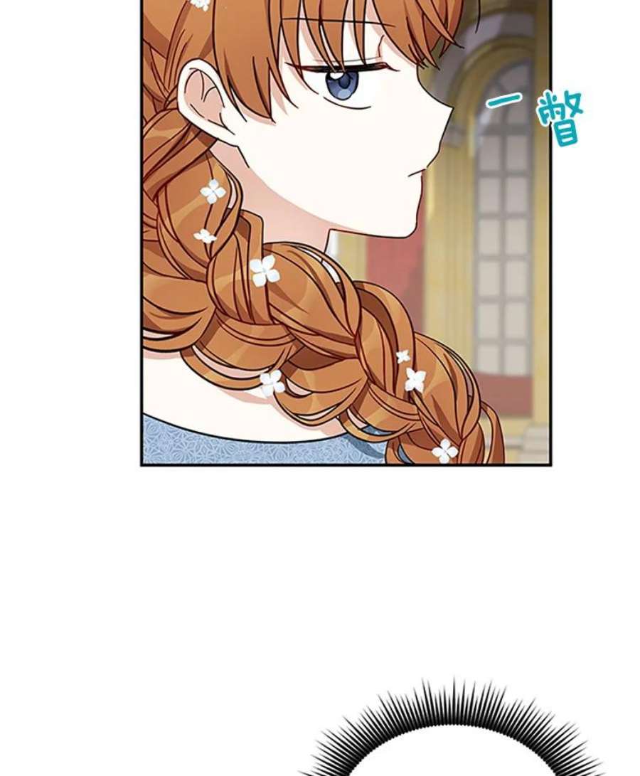 虚名的公爵之妻12.请求赐婚