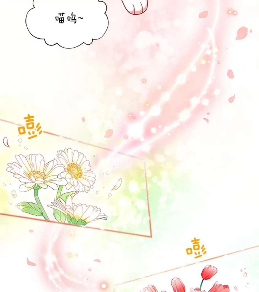 虚名的公爵之妻13.只需要陪在我身边
