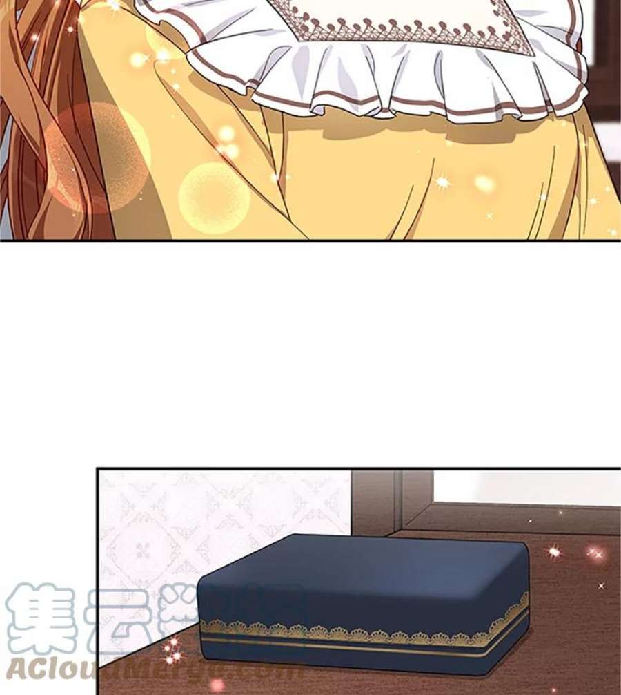 虚名的公爵之妻17.公主的生日宴