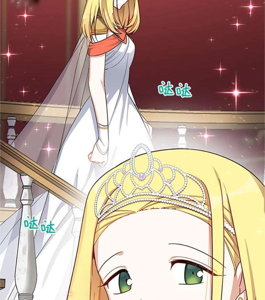 虚名的公爵之妻17.公主的生日宴