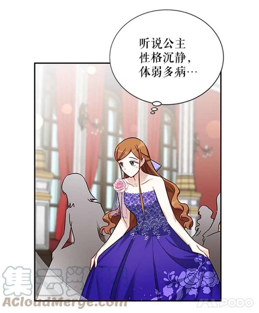 虚名的公爵之妻17.公主的生日宴
