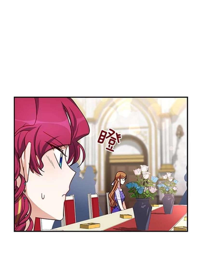 虚名的公爵之妻17.公主的生日宴