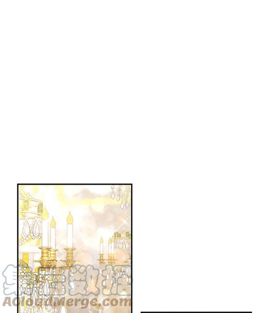 虚名的公爵之妻23.买下酒店