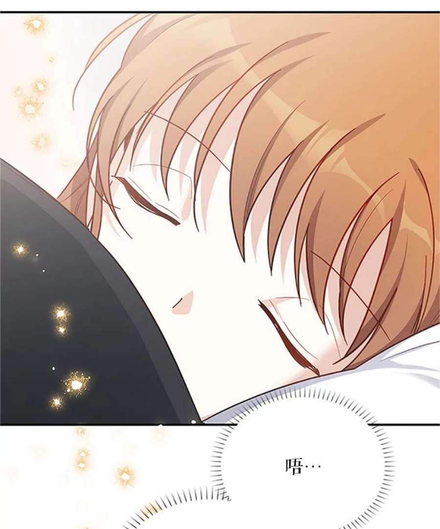 虚名的公爵之妻25.结婚初夜