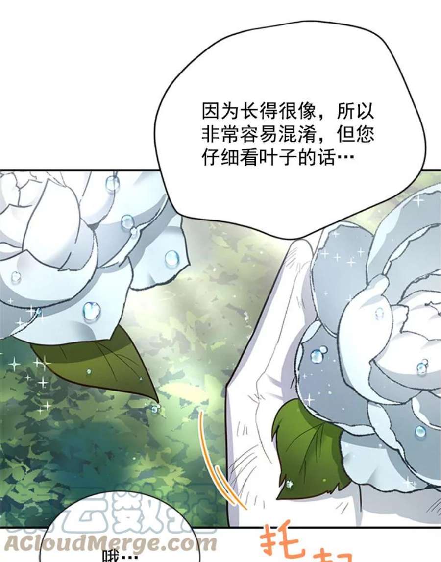 虚名的公爵之妻26.优秀的女主人