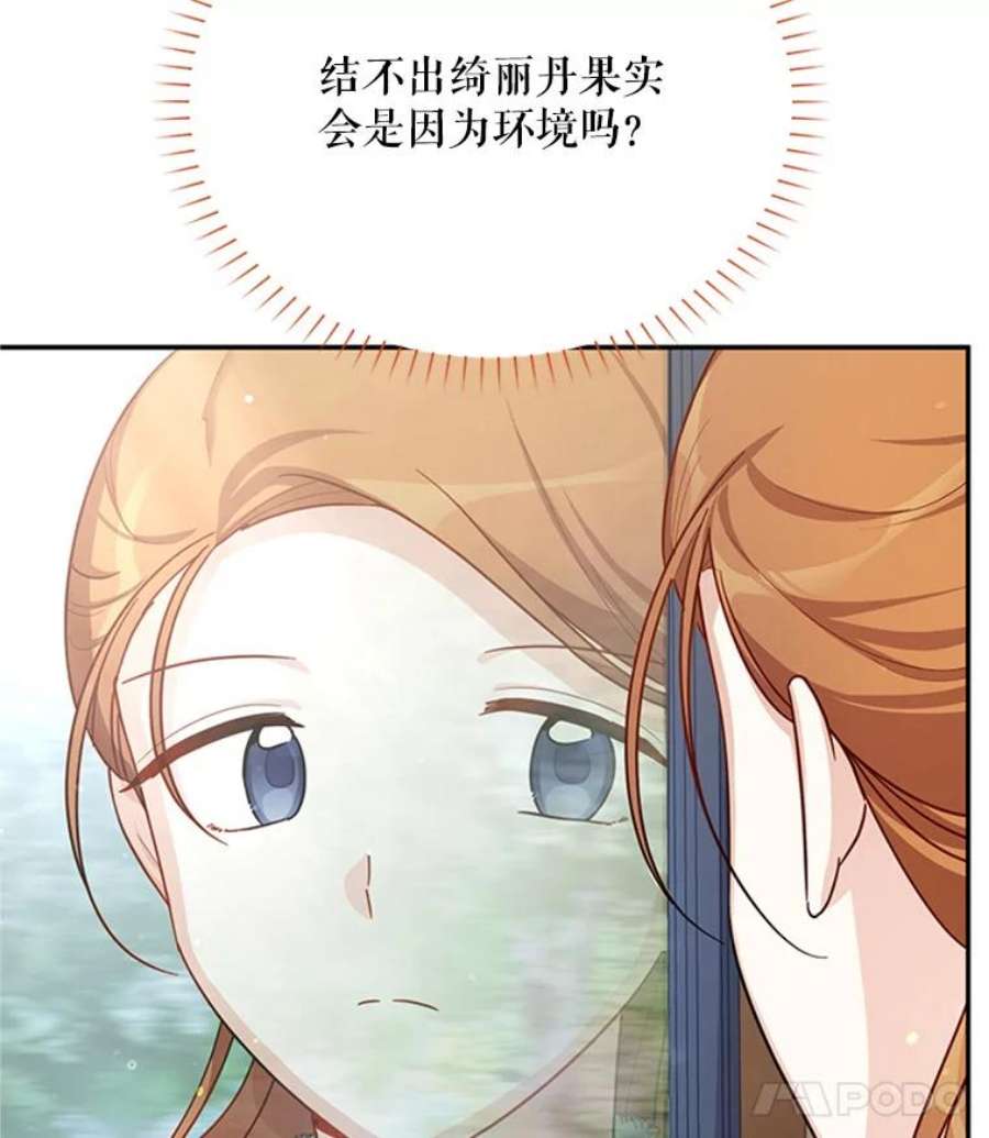 虚名的公爵之妻27.绮丽丹果实