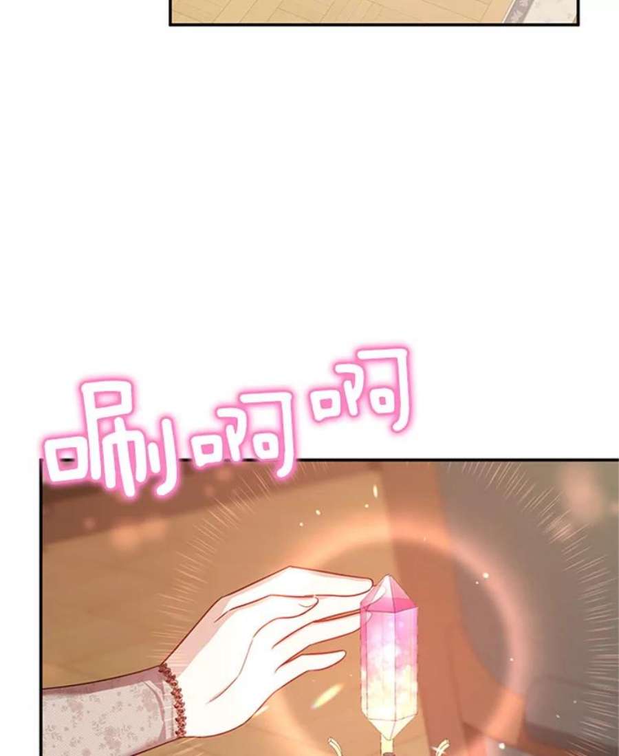 虚名的公爵之妻27.绮丽丹果实