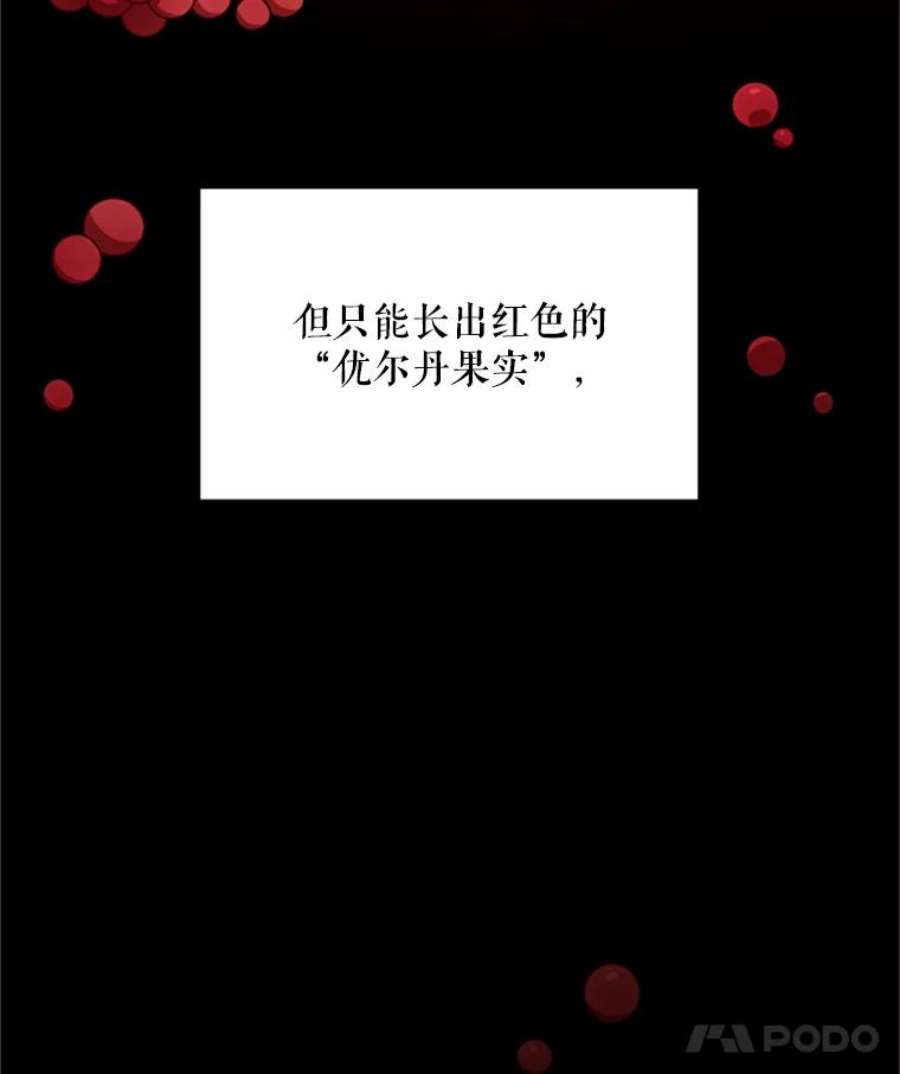 虚名的公爵之妻27.绮丽丹果实