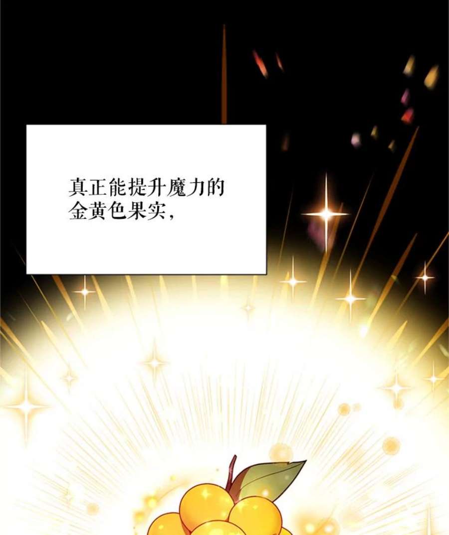 虚名的公爵之妻27.绮丽丹果实