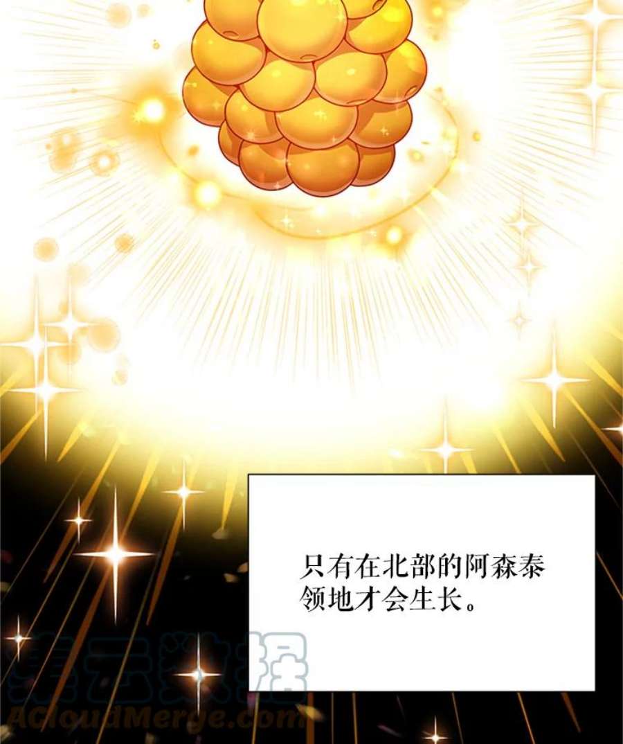 虚名的公爵之妻27.绮丽丹果实