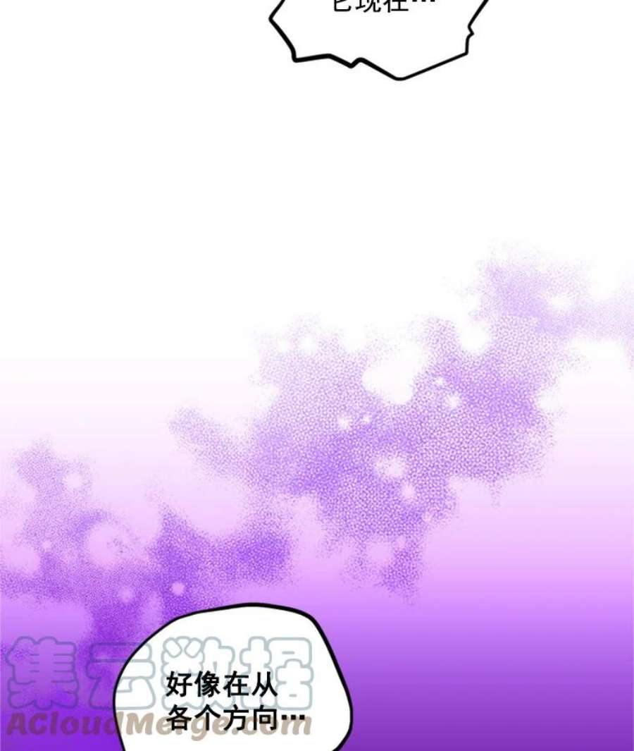 虚名的公爵之妻28.遭遇危险