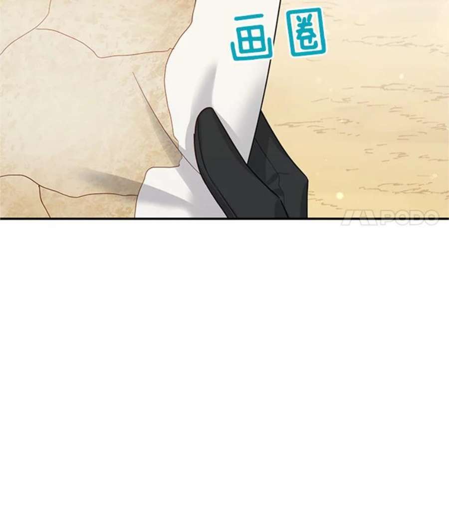 虚名的公爵之妻28.遭遇危险