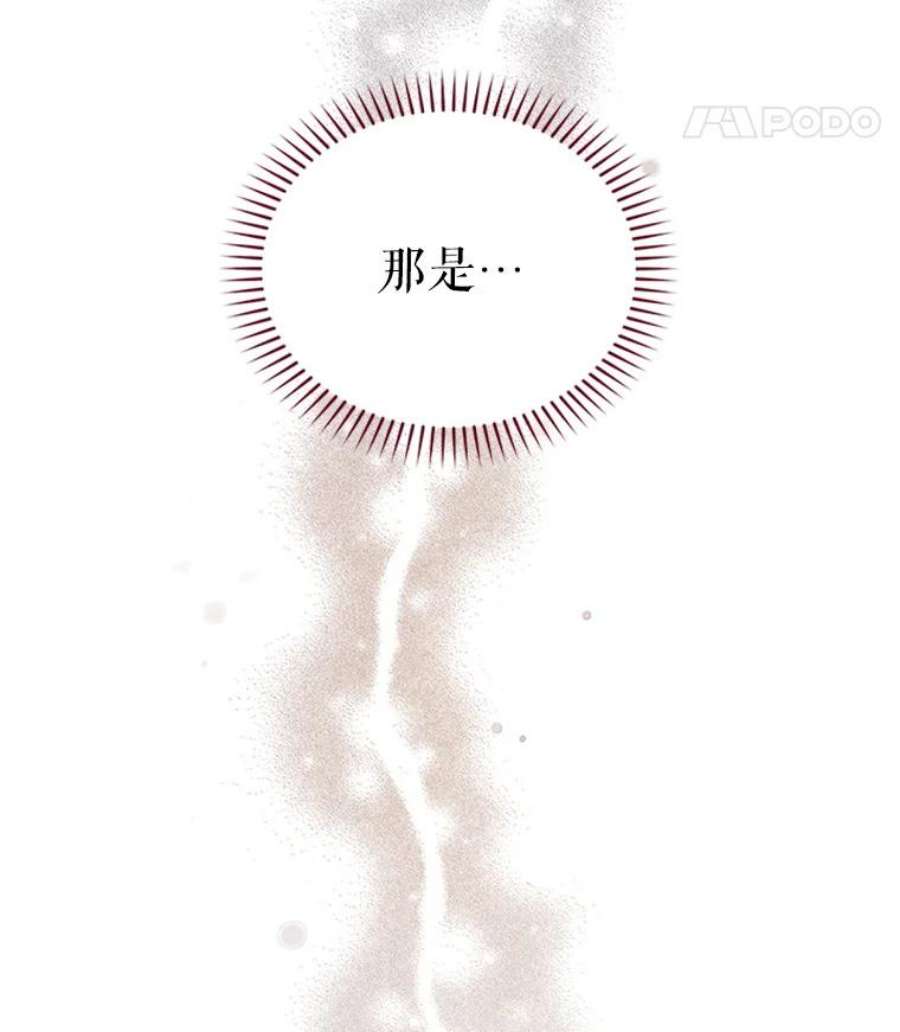 虚名的公爵之妻28.遭遇危险