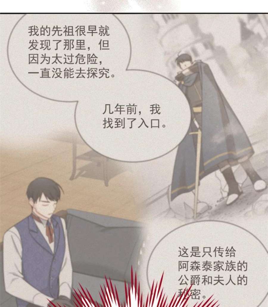 虚名的公爵之妻28.遭遇危险