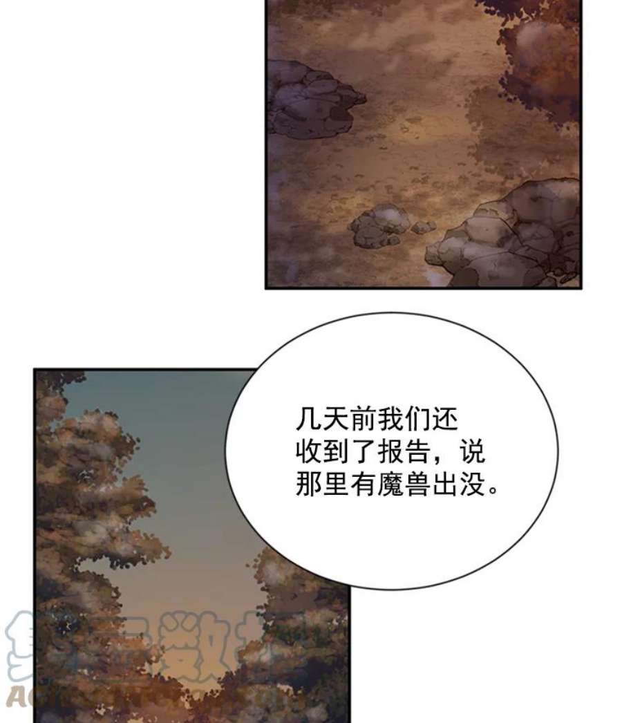 虚名的公爵之妻28.遭遇危险