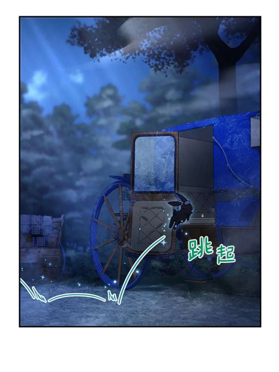 虚名的公爵之妻29.耗尽魔力