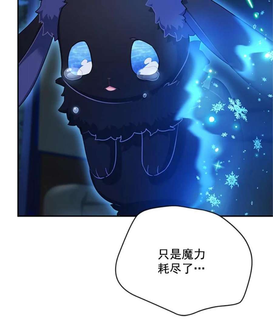 虚名的公爵之妻29.耗尽魔力