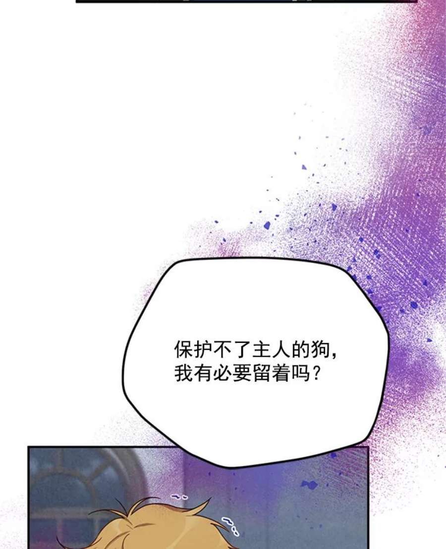 虚名的公爵之妻31.圣骑士巴德兰