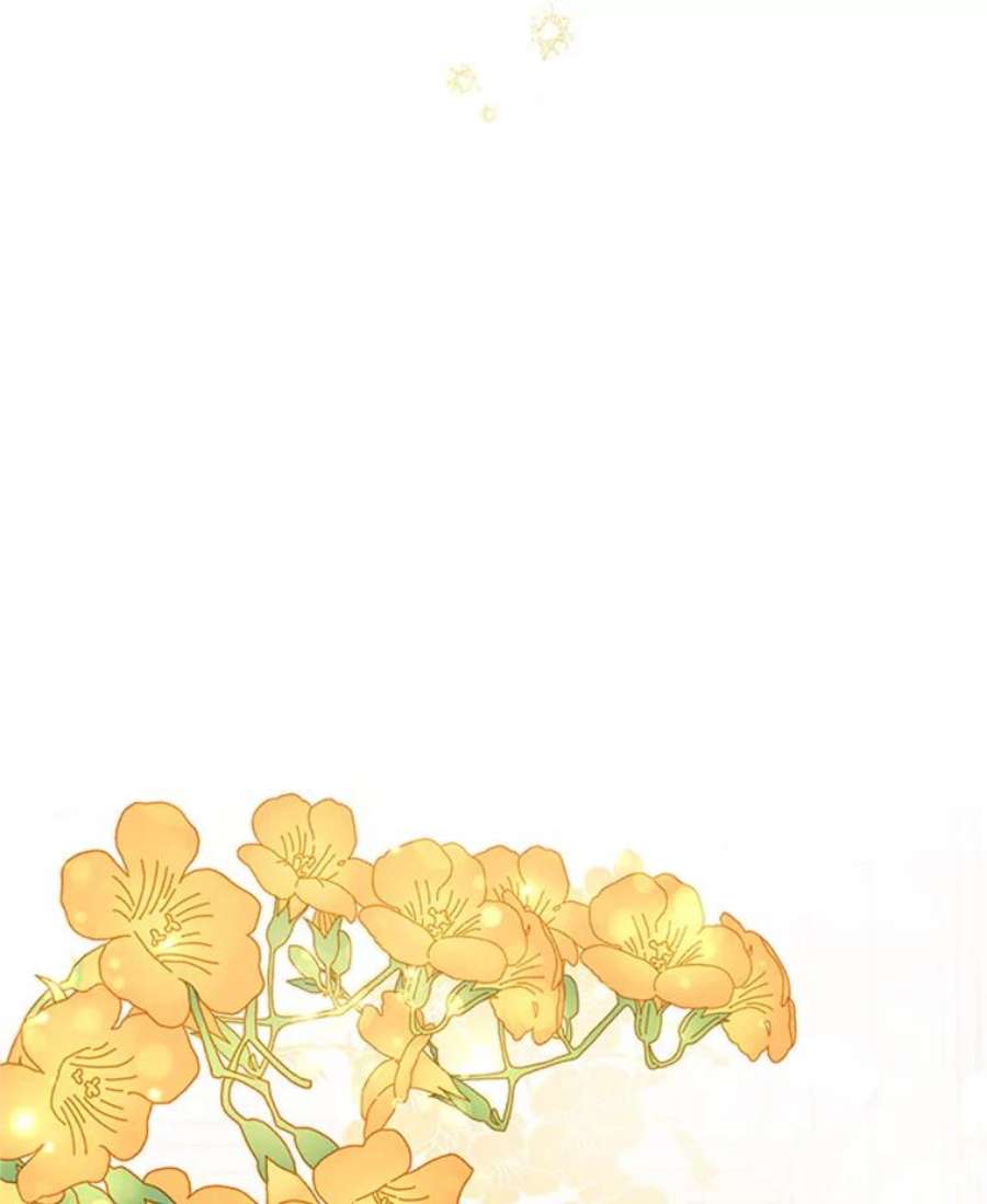 虚名的公爵之妻31.圣骑士巴德兰