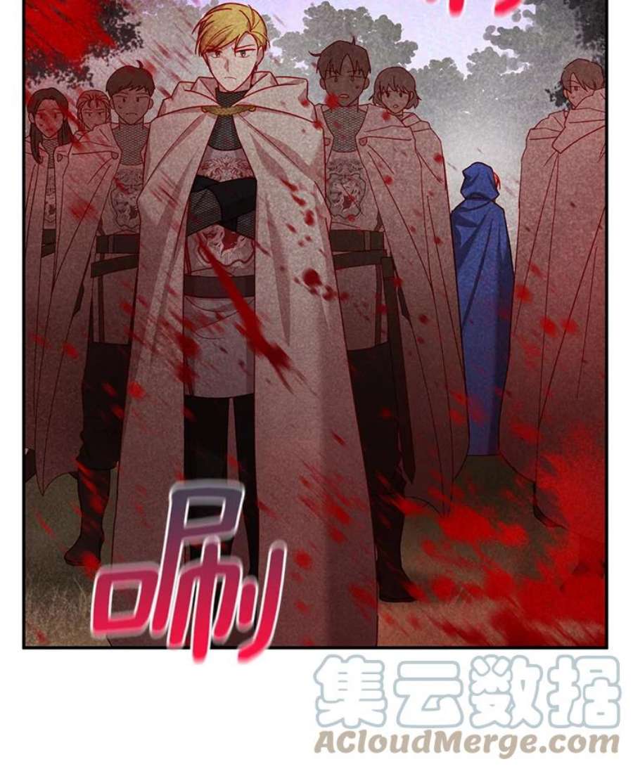 虚名的公爵之妻32.对召唤师的偏见