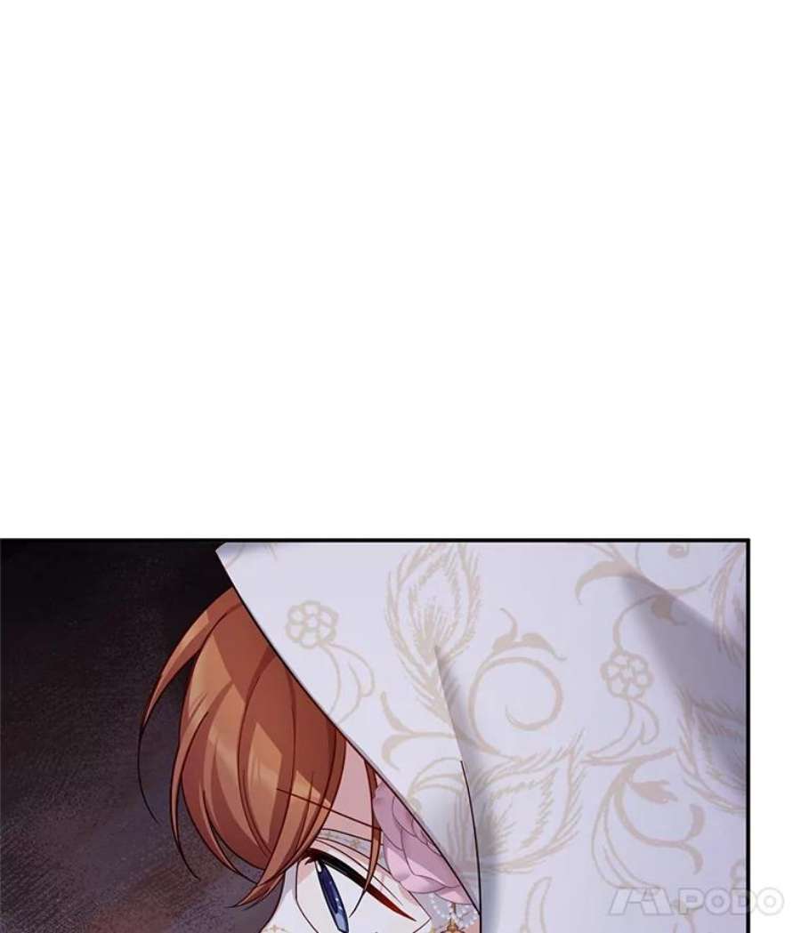 虚名的公爵之妻35.妈妈的胸针