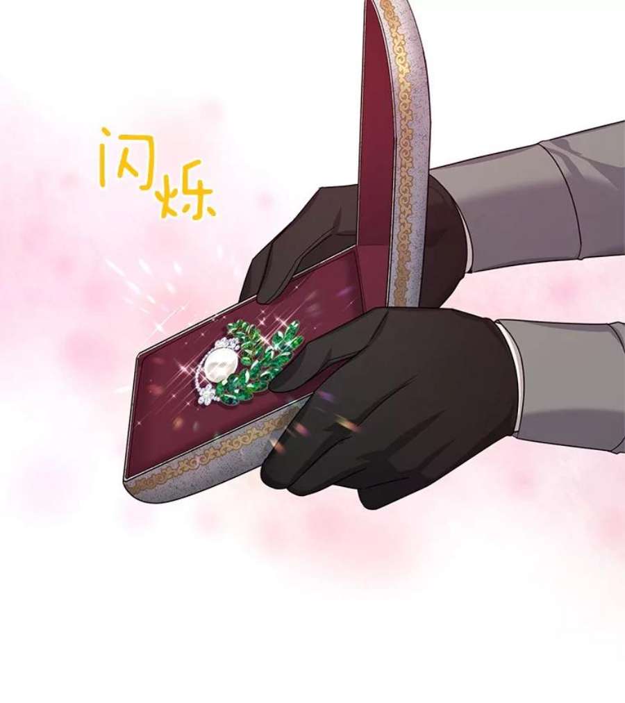 虚名的公爵之妻35.妈妈的胸针