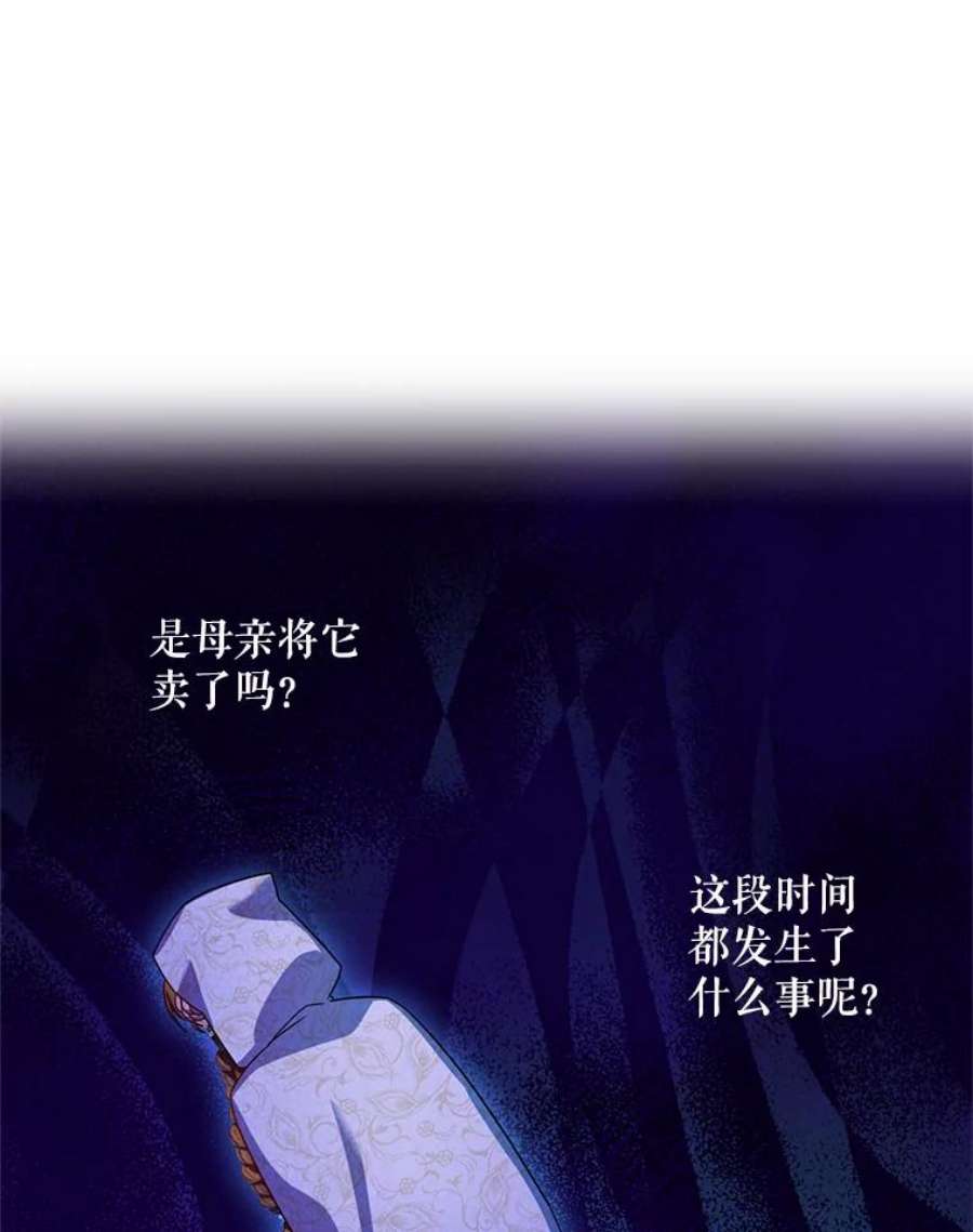 虚名的公爵之妻35.妈妈的胸针
