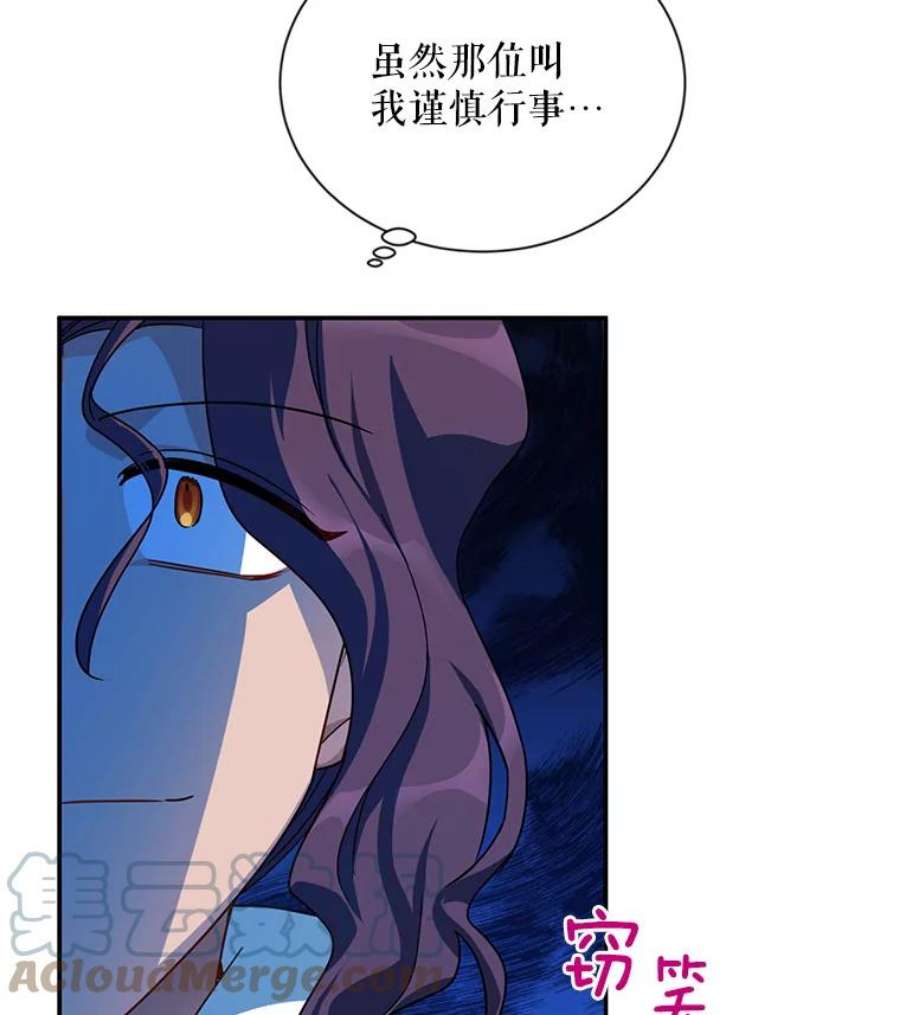 虚名的公爵之妻35.妈妈的胸针