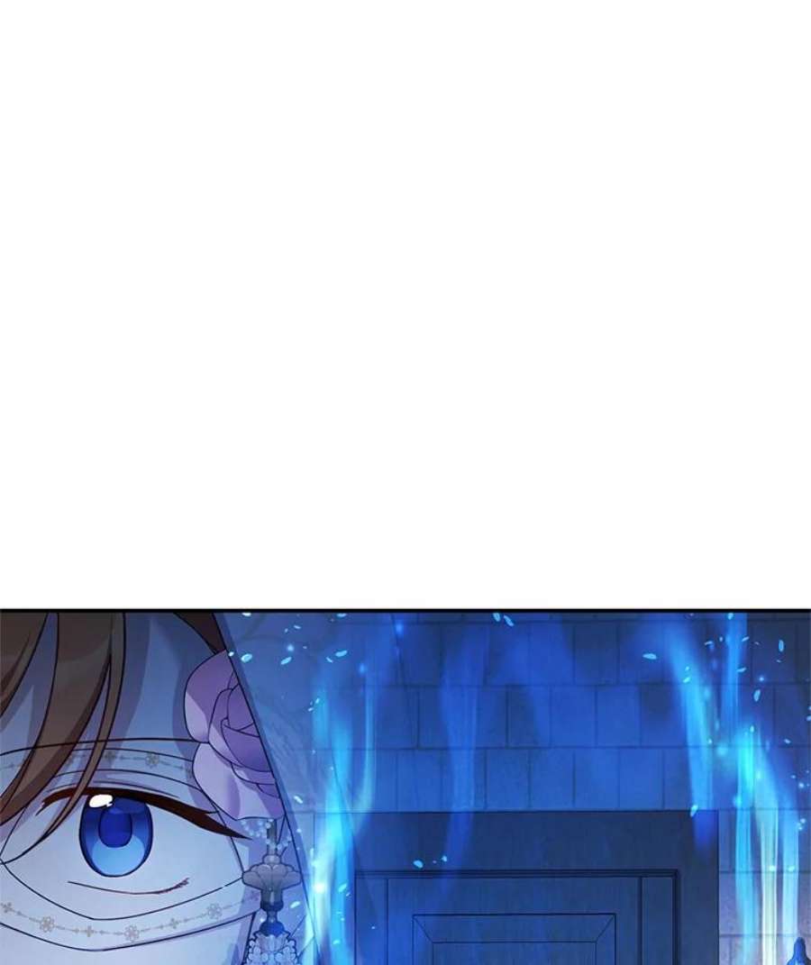 虚名的公爵之妻35.妈妈的胸针