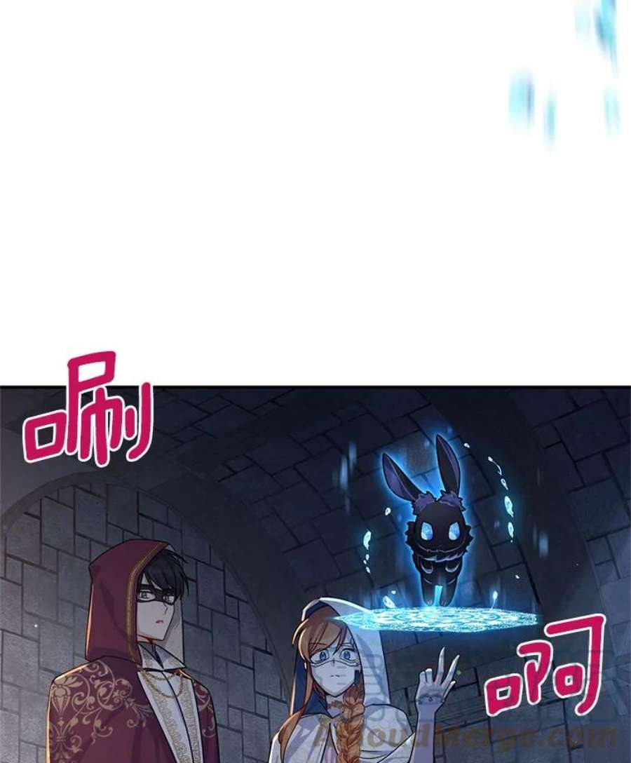 虚名的公爵之妻36.捣毁拍卖场
