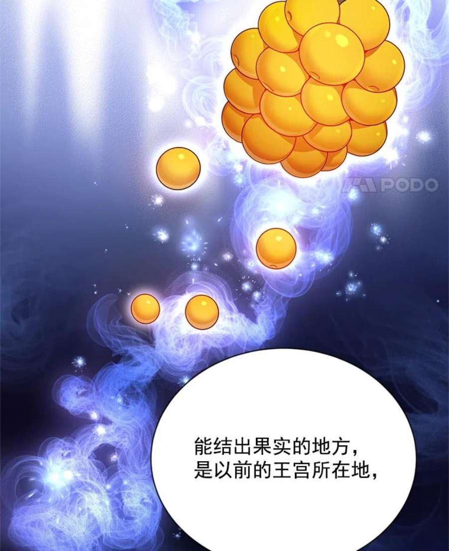 虚名的公爵之妻37.报恩