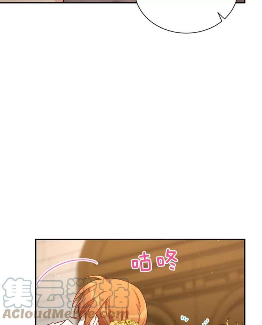 虚名的公爵之妻38.绮丽丹试剂