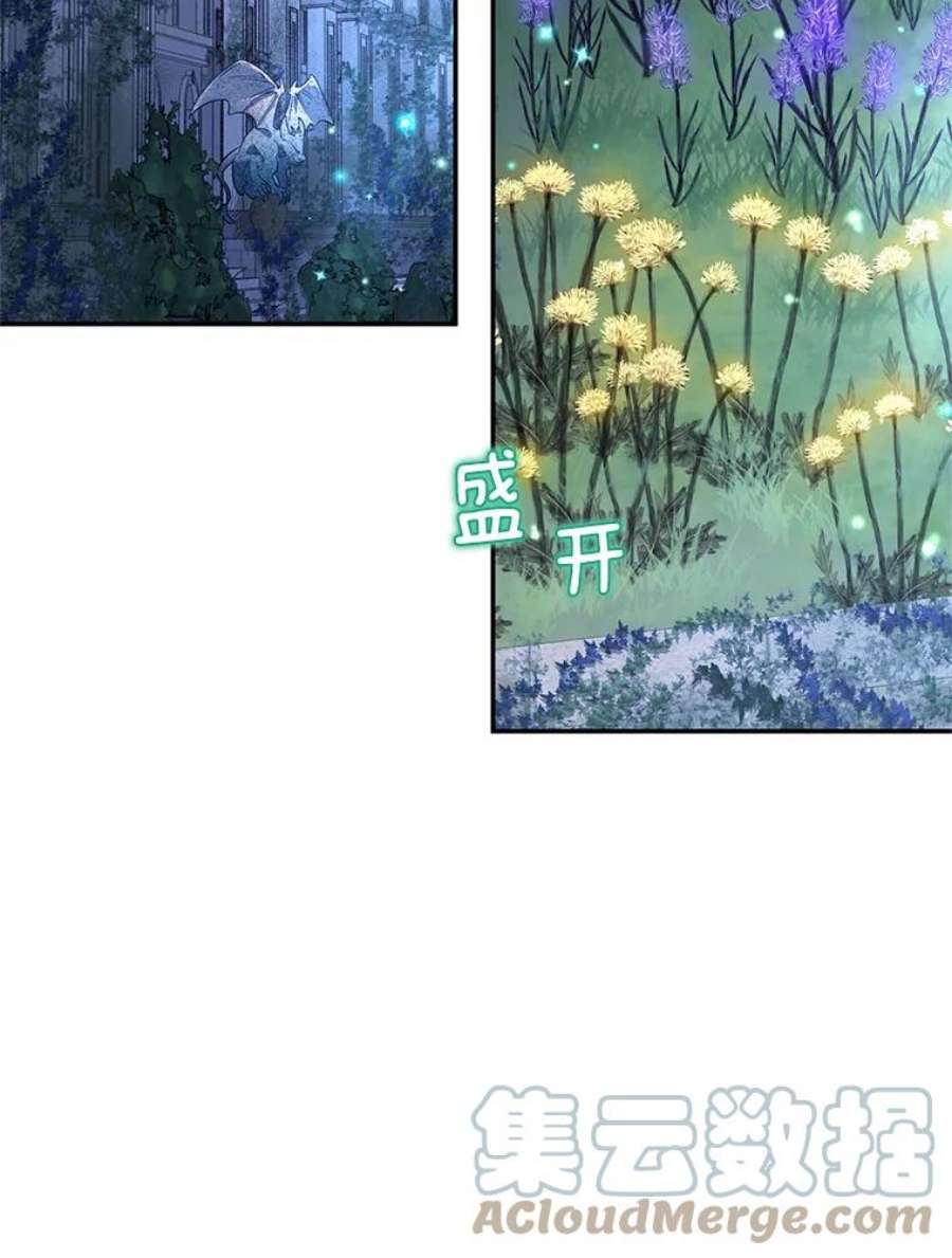 虚名的公爵之妻39.进入古魔法王国