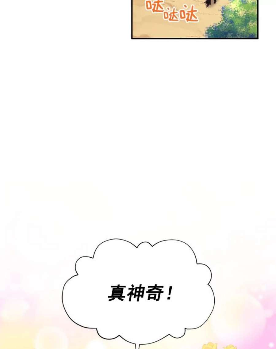 虚名的公爵之妻46.召唤神兽之王