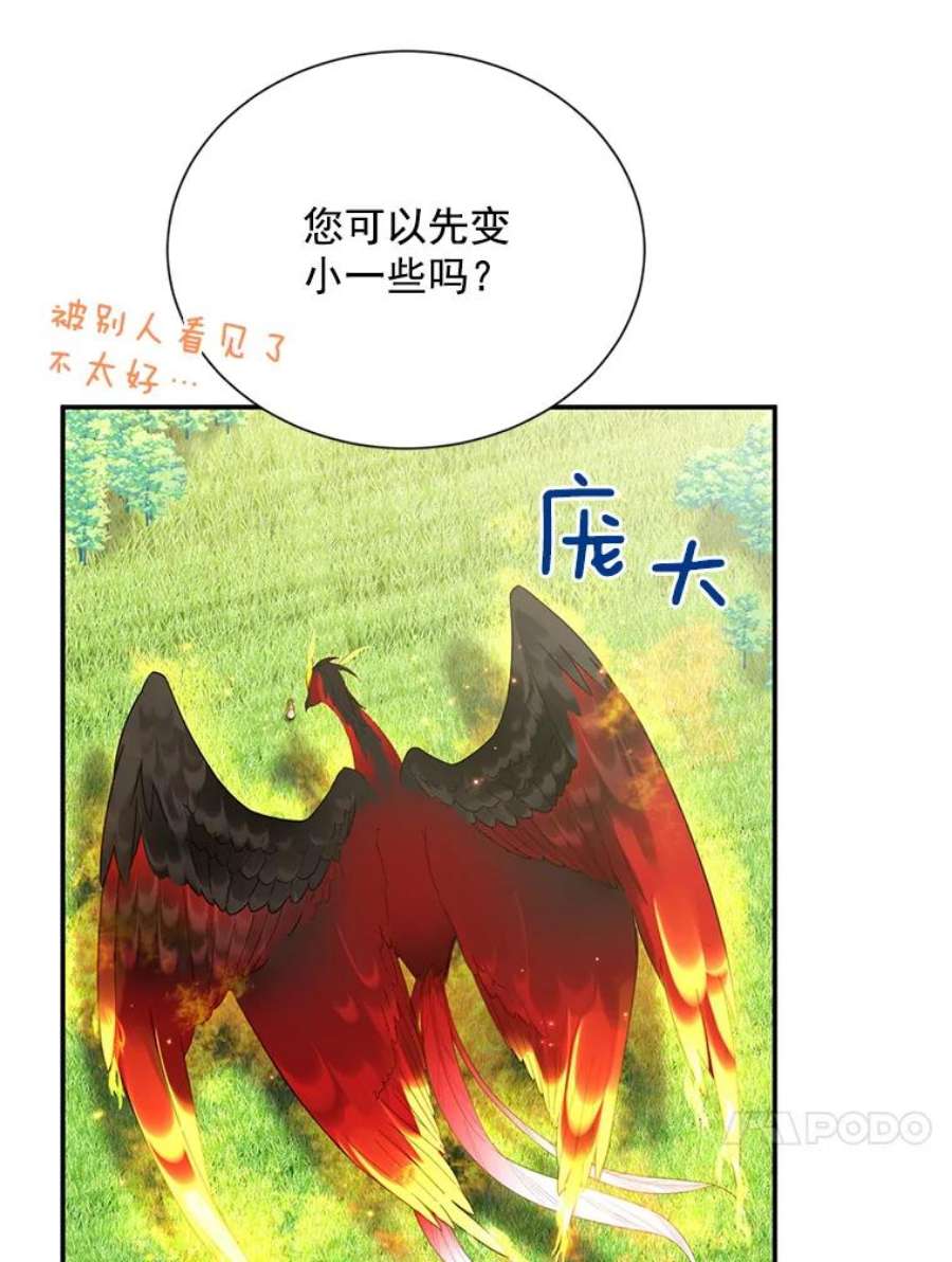 虚名的公爵之妻46.召唤神兽之王