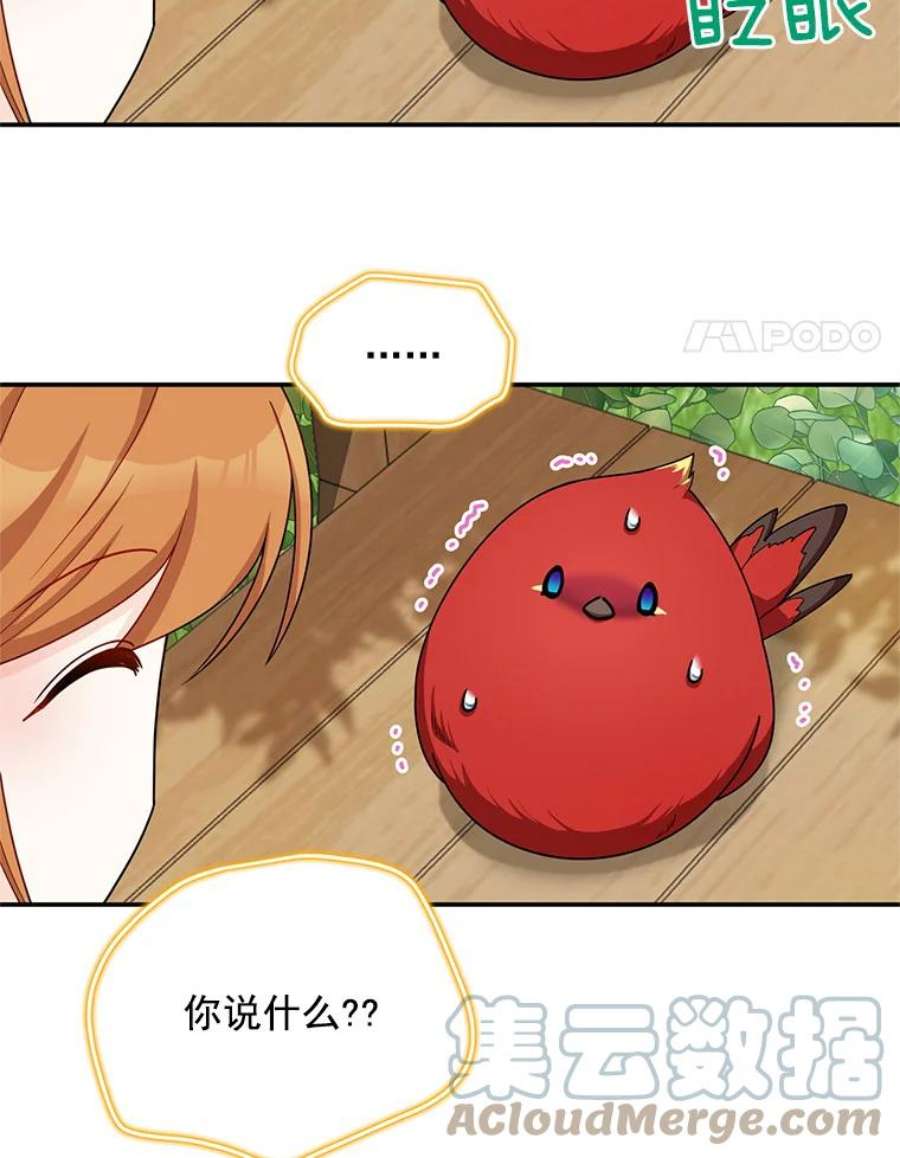 虚名的公爵之妻47.公主来信