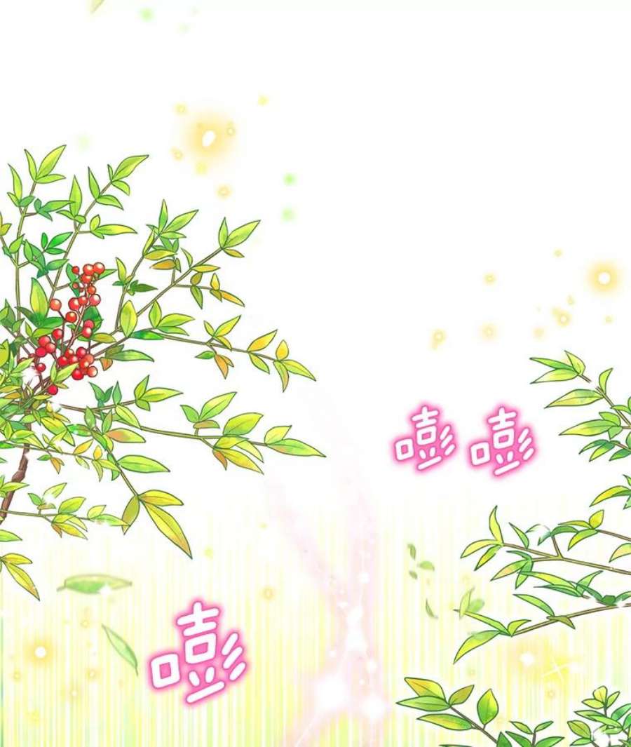 虚名的公爵之妻51.治疗剂
